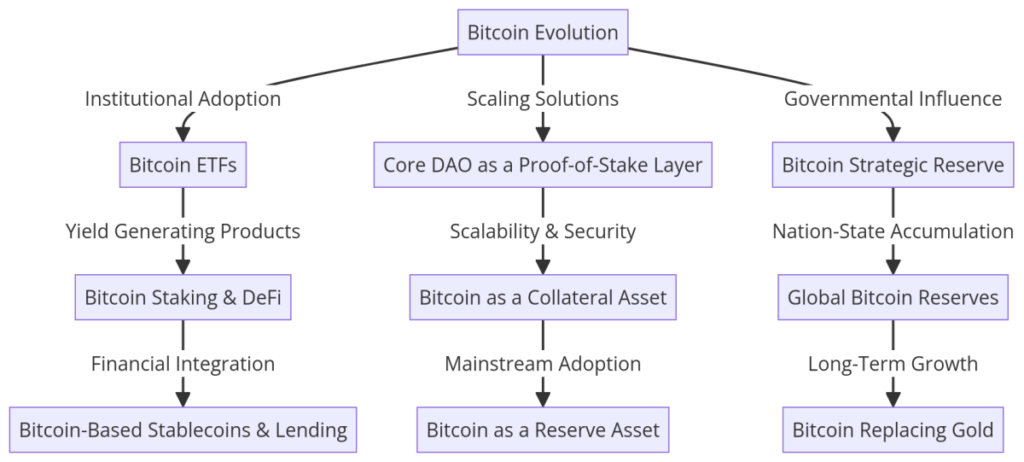 The Future of Bitcoin: Scaling, Institutional Adoption, and Strategic Reserves